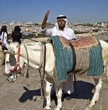 There’s something in Jerusalem that makes some 150 tourists a year lose their minds. Some of them think they’re the Messiah or the devil, others feel they must destroy a mosque or a church, and yet...